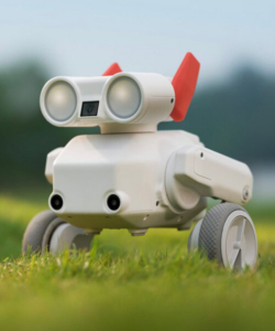 Beni maastikurobot looduses