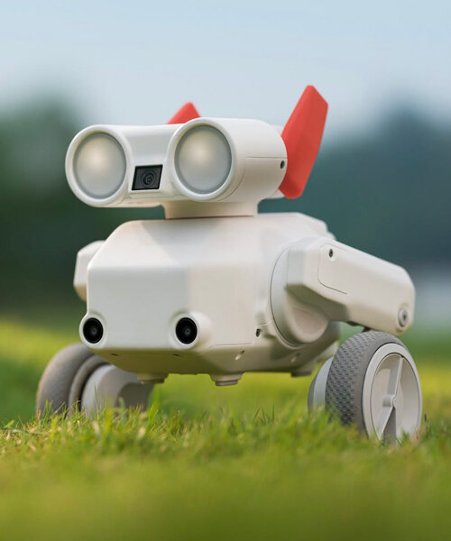 beni-4k-maastikurobot Beni maastikurobot looduses