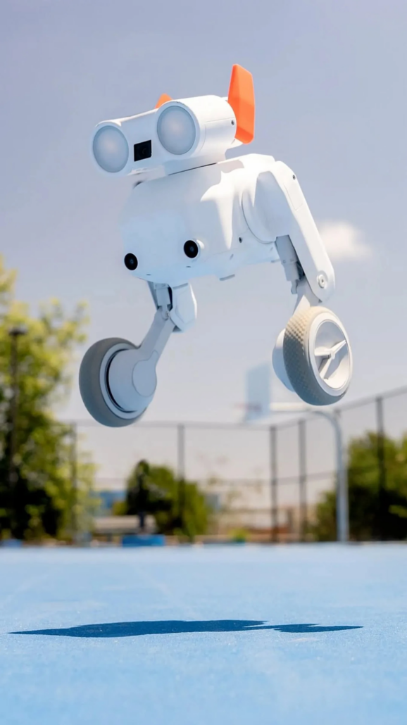 beni-maastikul-liikuv-robot